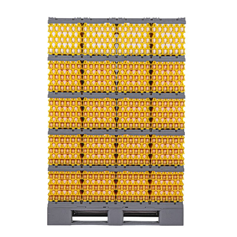 product-800-800